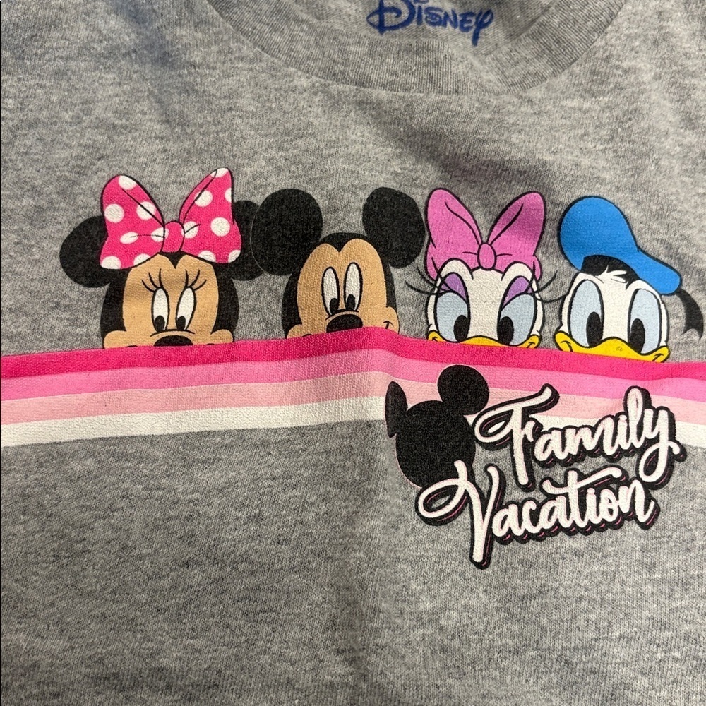 Disney Gray T-Shirt with Mickey and Friends - Picture 3 of 3
